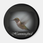 COLIBRI-AA AIMANT