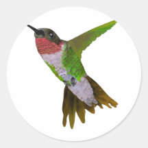 Colibri Adhésif
