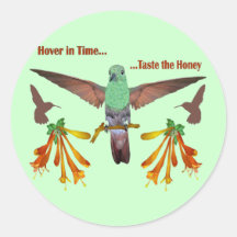 Colibri Adhésif Rond