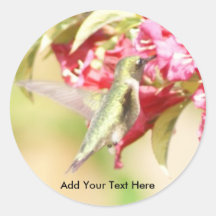 Colibri Adhésif Rond