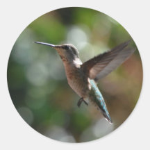 Colibri, autocollants