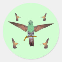 Colibri Autocollants