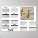 Colibri avec la fleur - calendrier 2009 posters