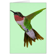 Colibri Carte De Vœux