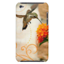 colibri de fleur de pêche de cas de contact d'iPod Étui iPod Touch