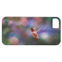 Colibri de vol et arrière - plan coloré coques case-mate