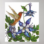 Colibri et Columbine Rufous Poster