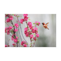 Colibri et fleurs de vol impressions sur toile