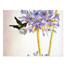 Colibri et fleurs invitations