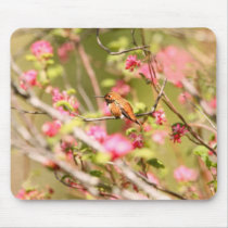 Colibri et fleurs Rufous tapis de souris