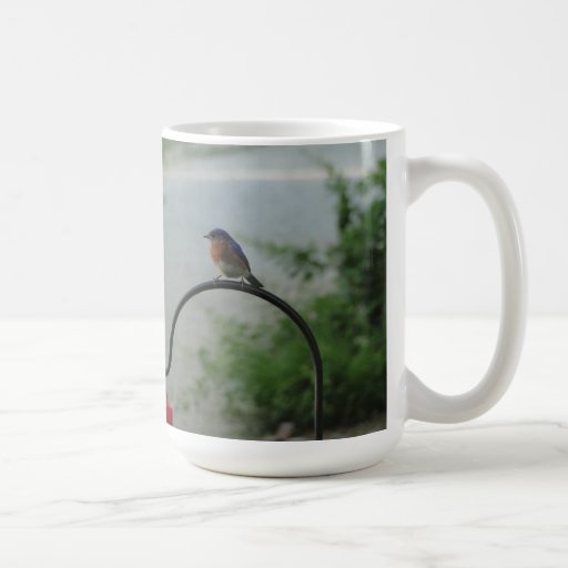 Colibri et oiseau bleu tasse
