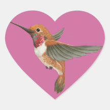 Colibri Rufous Adhésif