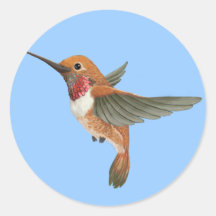 Colibri Rufous Autocollants