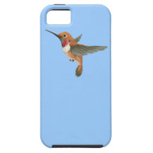 Colibri Rufous Coques Case-Mate iPhone 5