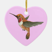 Colibri Rufous Ornements