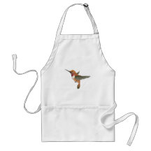 Colibri Rufous Tabliers