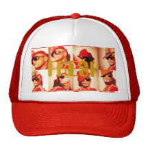 collage50, COBYKOEHL FRAIS Casquette