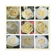 Collage de carré de rose blanc toiles tendues sur châssis