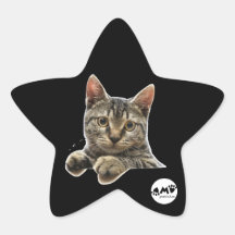 Colle Stickers En Étoile