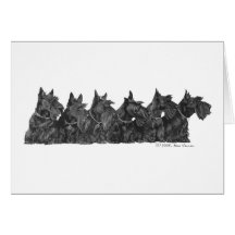 Collecte de Terrier d'écossais Cartes De Vœux