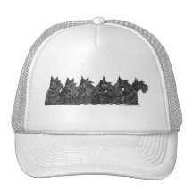 Collecte de Terrier d'écossais Casquettes