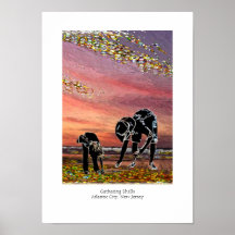 Collecte des coquilles posters