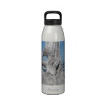 Collecteur de bois de flottage de chasseur d'agate bouteille d'eau réutilisable