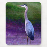 Collection bleue de héron tapis de souris