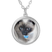 Collection de cadeau de chaton de raquette de Purr Collier