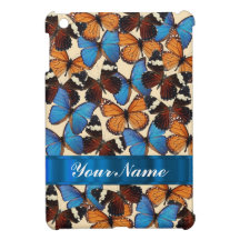 Collection de papillon
