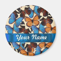 Collection de papillon aimants