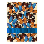 Collection de papillon cartes postales
