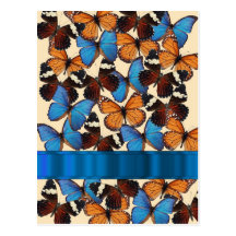 Collection de papillon cartes postales