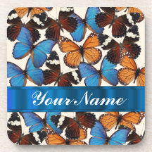 Collection de papillon sous-bocks
