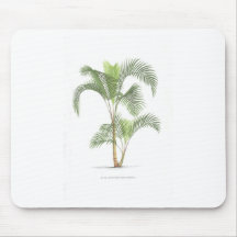 Collection d'illustration de palmier tapis de souris