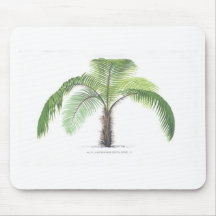 collection tropicale de palmier - dessin VI Tapis De Souris