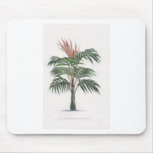collection tropicale de palmier - V de dessin Tapis De Souris