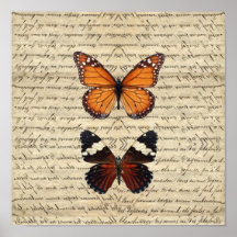 Collection vintage de papillons affiche