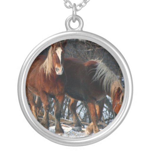 Collier belge de cheval de trait