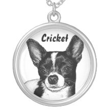Collier d'animal familier