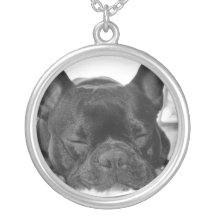Collier de bouledogue français