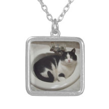 Collier de chat