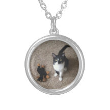 Collier de chat de type