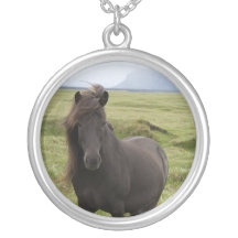 Collier de cheval