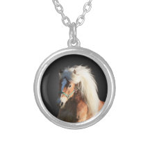 Collier de cheval de Haflinger