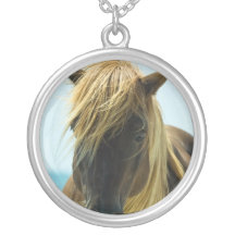 Collier de cheval de mustang