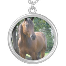 Collier de cheval de pur sang de baie
