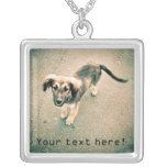 Collier de chien