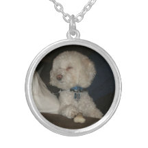 Collier de chien