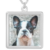 Collier de chiot de bouledogue français
